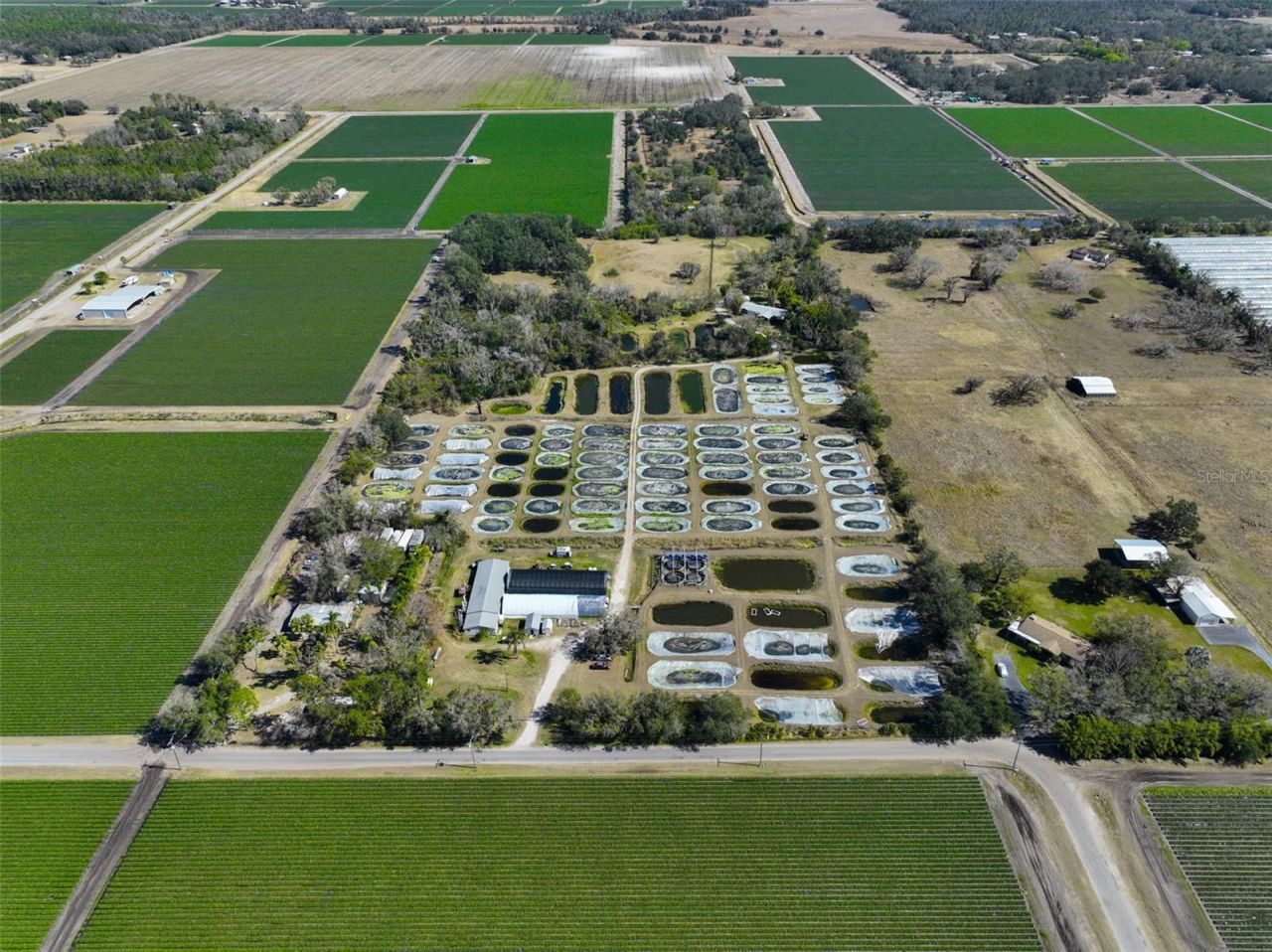 20112 Hobbs Road, Wimauma, FL 33598 Photo