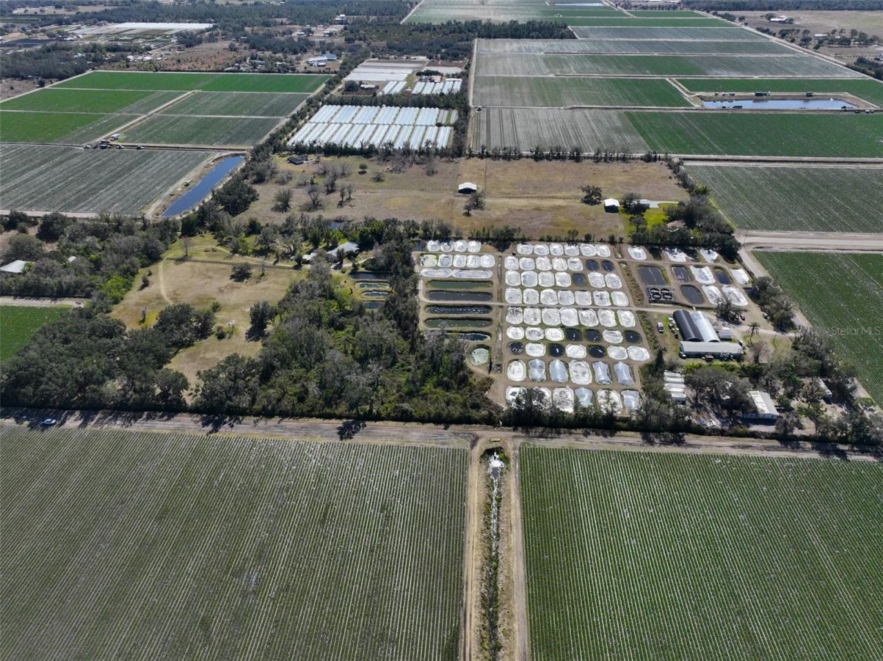 20112 Hobbs Road, Wimauma, FL 33598 Photo