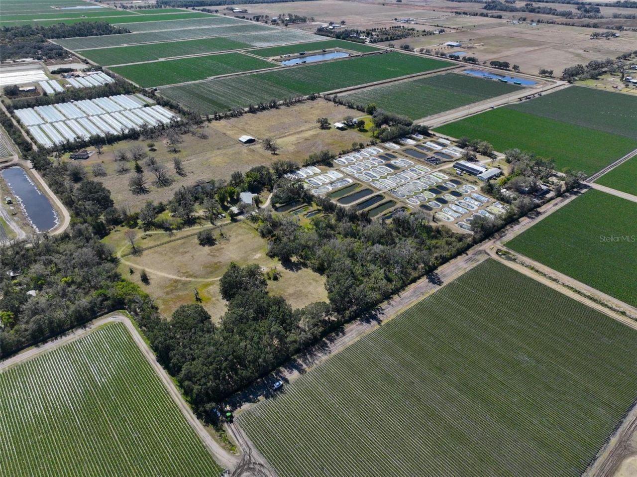 20112 Hobbs Road, Wimauma, FL 33598 Photo