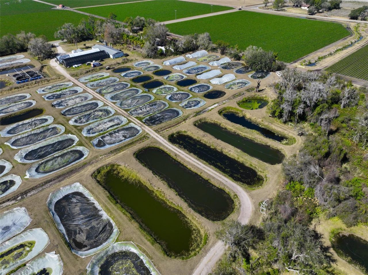 20112 Hobbs Road, Wimauma, FL 33598 Photo