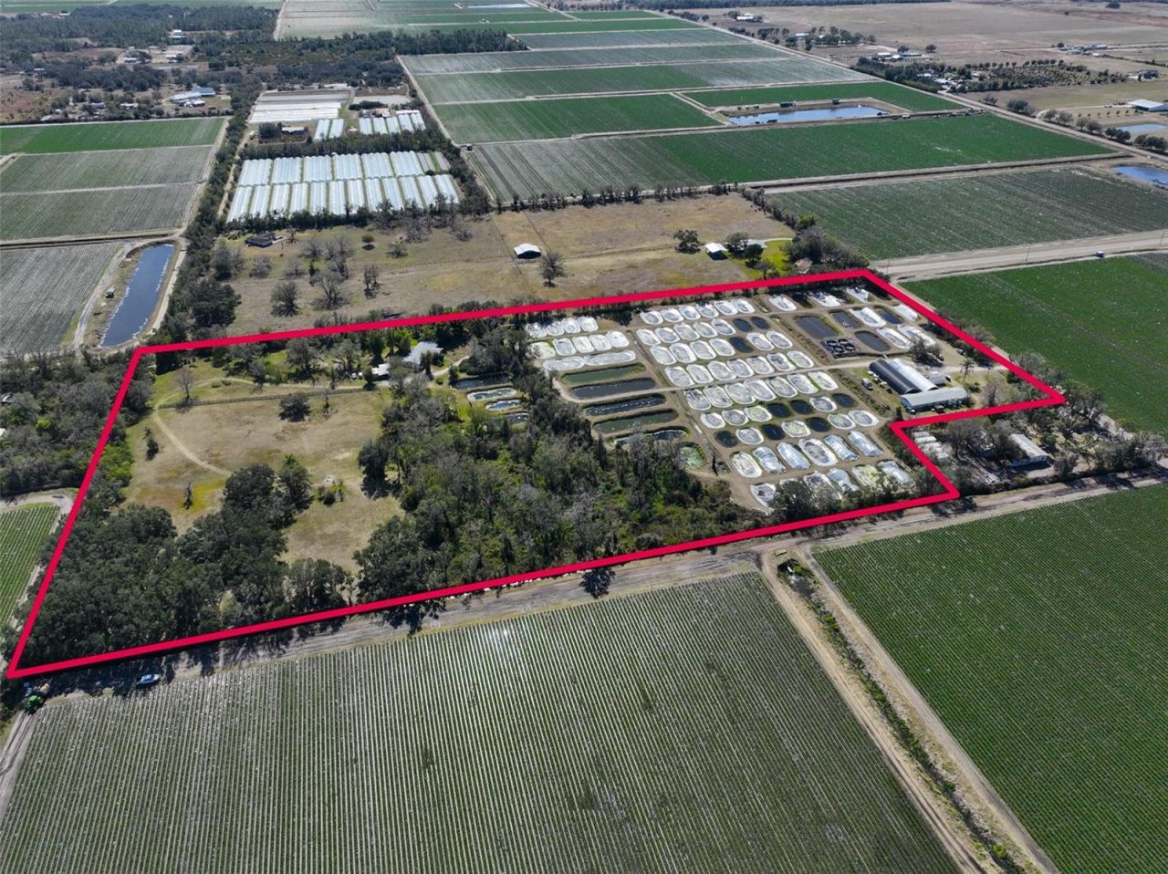 20112 Hobbs Road, Wimauma, FL 33598 Photo