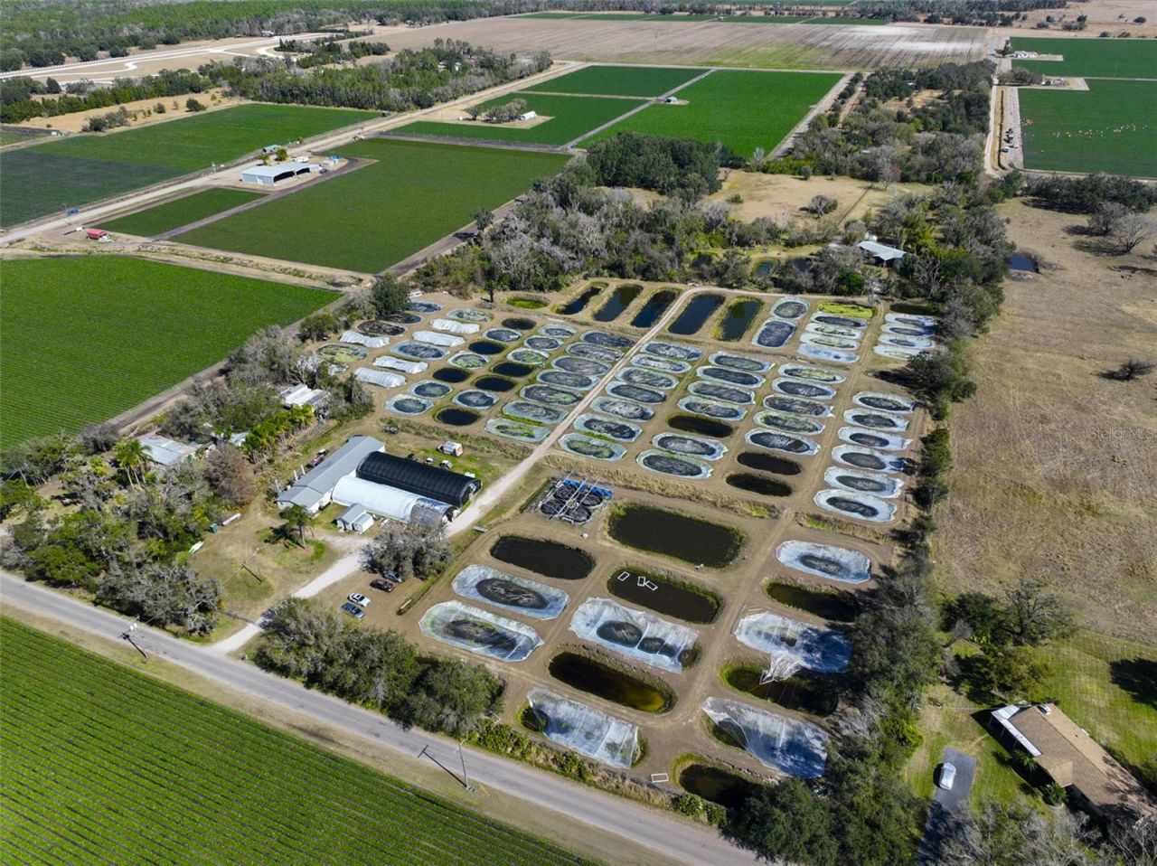 20112 Hobbs Road, Wimauma, FL 33598 Photo