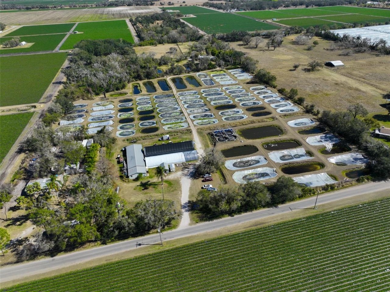 20112 Hobbs Road, Wimauma, FL 33598 Photo