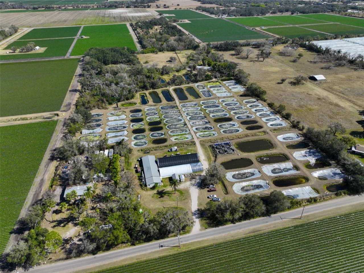 20112 Hobbs Road, Wimauma, FL 33598 Photo