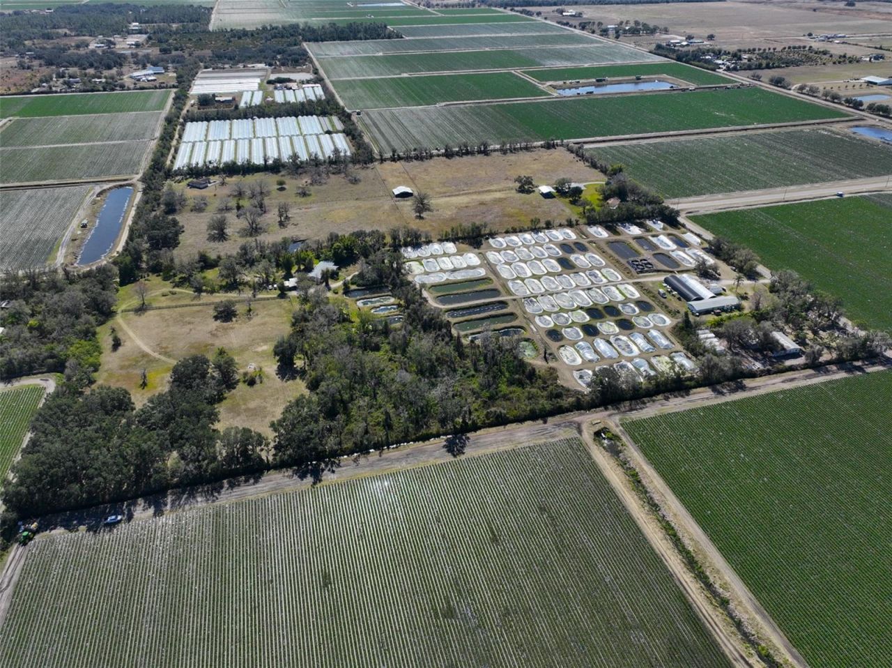 20112 Hobbs Road, Wimauma, FL 33598 Photo