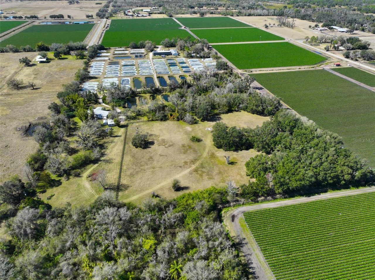 20112 Hobbs Road, Wimauma, FL 33598 Photo