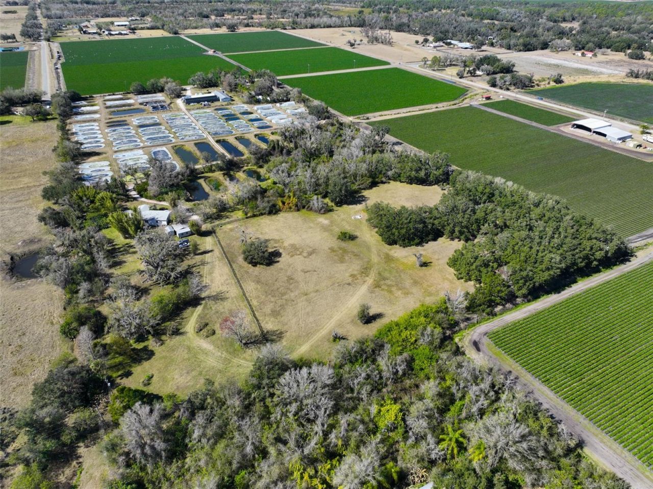 20112 Hobbs Road, Wimauma, FL 33598 Photo