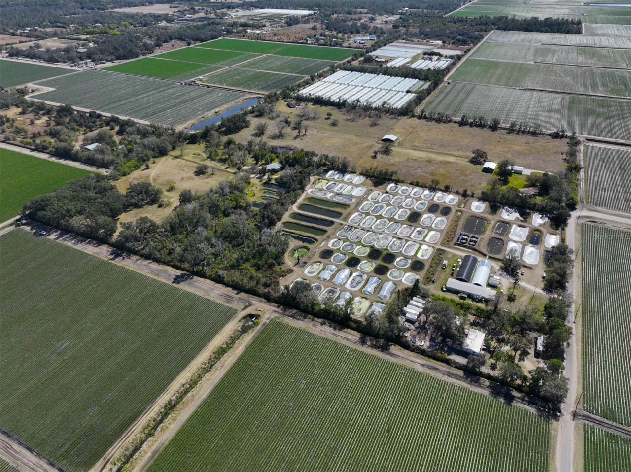 20112 Hobbs Road, Wimauma, FL 33598 Photo