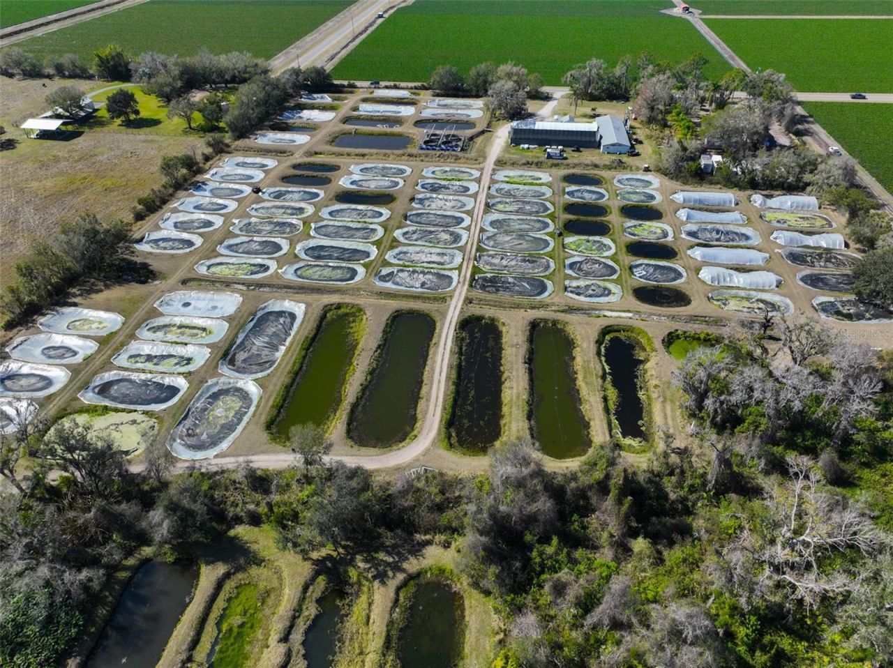 20112 Hobbs Road, Wimauma, FL 33598 Photo