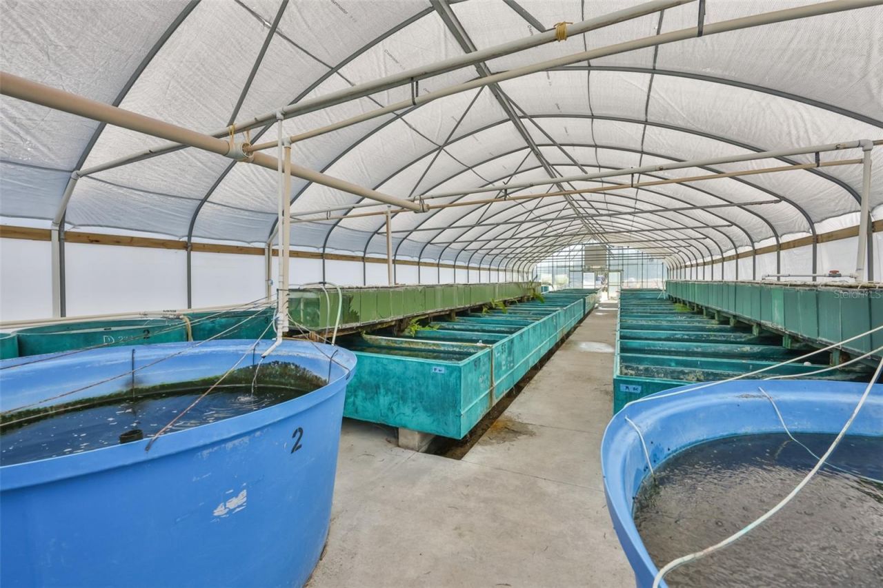 20112 Hobbs Road, Wimauma, FL 33598 Photo