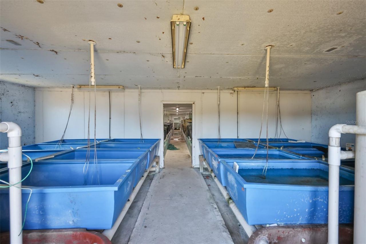 20112 Hobbs Road, Wimauma, FL 33598 Photo