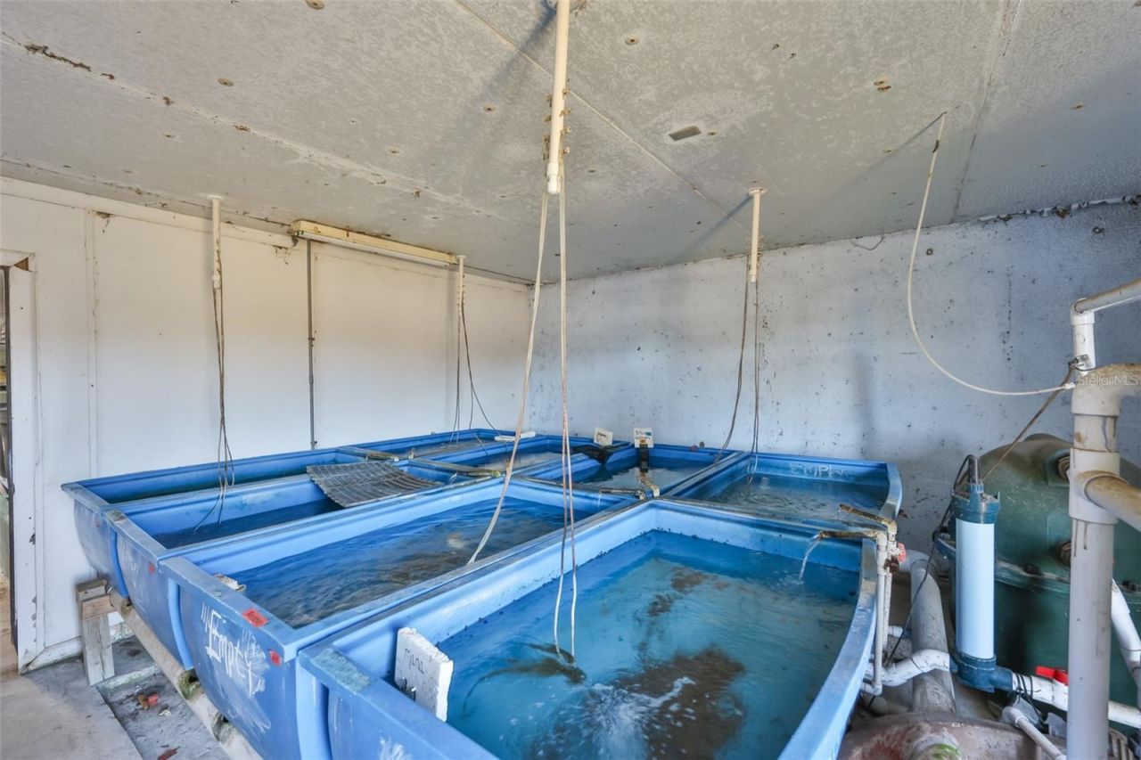 20112 Hobbs Road, Wimauma, FL 33598 Photo