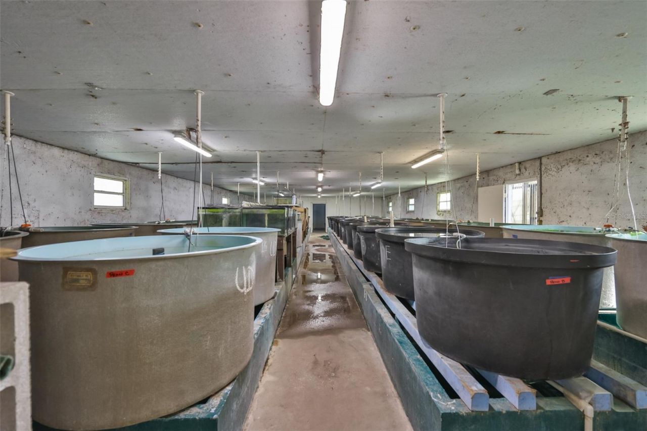 20112 Hobbs Road, Wimauma, FL 33598 Photo