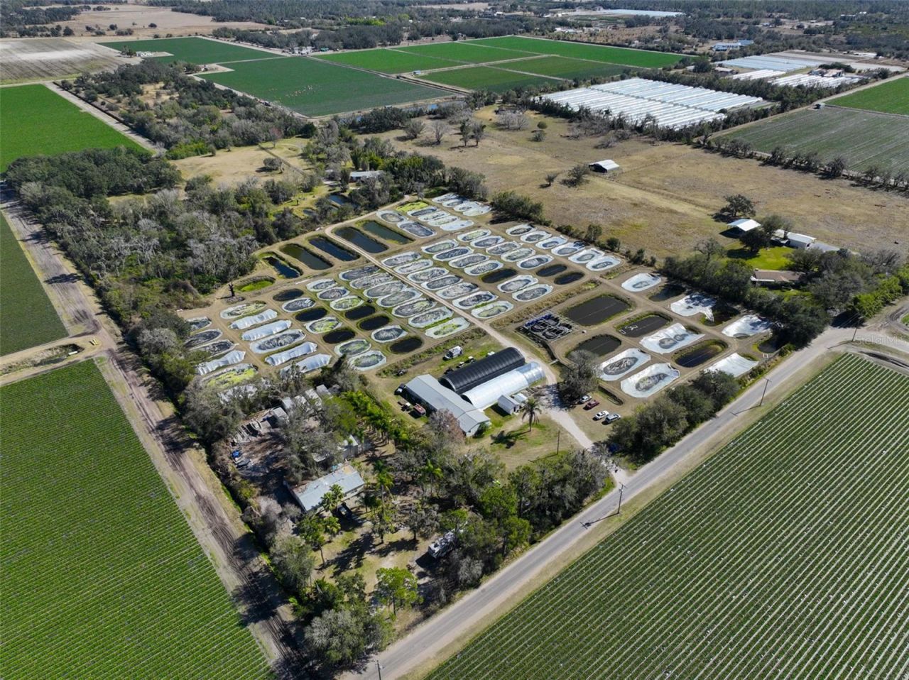 20112 Hobbs Road, Wimauma, FL 33598 Photo