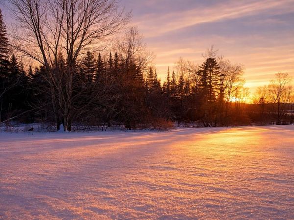 972 Fitzgerald Road, Unit 1, Morristown, VT 05661