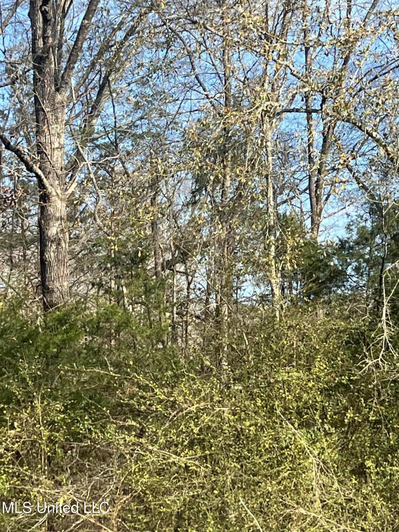 0 Adams Station Road, Utica, MS 39175 Main Photo