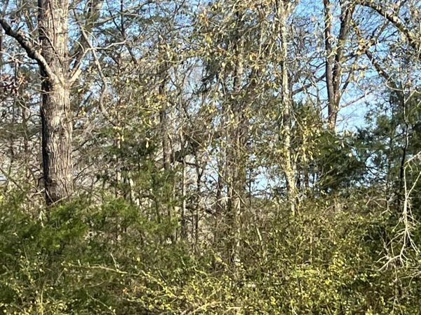 0 Adams Station Road, Utica, MS 39175