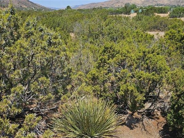 0 Easy Street, Acton, CA 93510