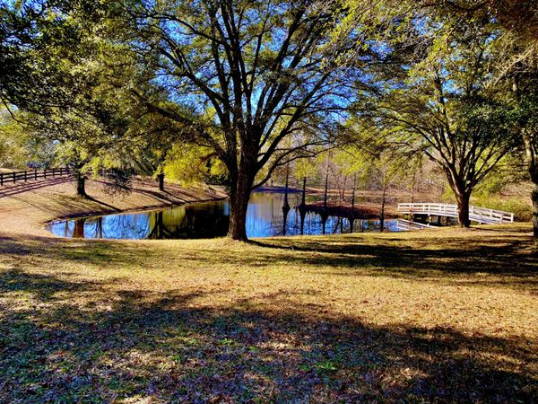 3509 MS-589, Hattiesburg, MS 39402