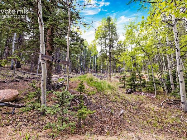 714 Will Stutley Drive, Divide, CO 80814
