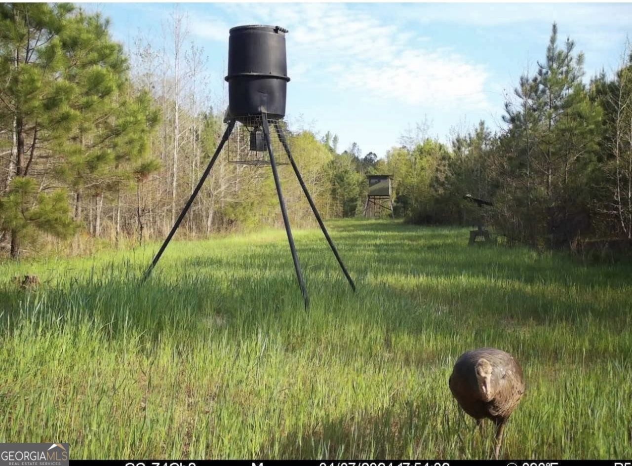 0 Cedar Rock Rd, Woodbury, GA 30293 Main Photo