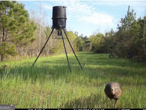 0 Cedar Rock Rd, Woodbury, GA 30293