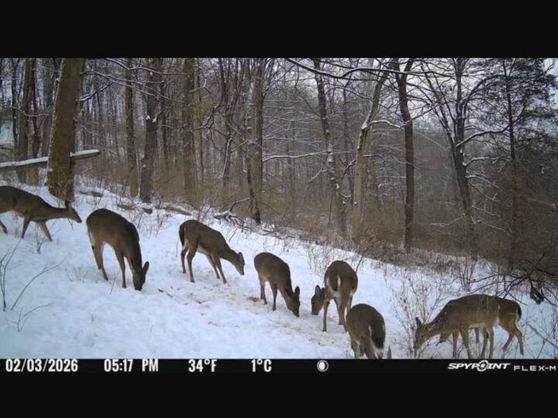 6551 Cleves Warsaw Pike, Delhi Twp, OH 45233 Photo 31