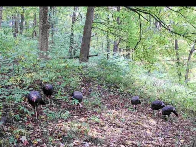 6551 Cleves Warsaw Pike, Delhi Twp, OH 45233 Photo 32