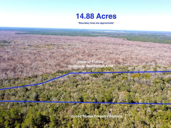 TBD NE 170TH AVENUE ROAD, FORT MC COY, FL 32134