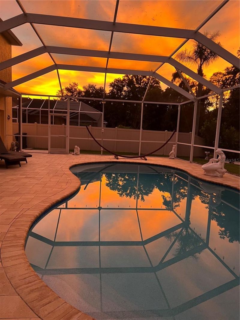 21511 Wilderness Lake Boulevard, Land O Lakes, FL 34637 Photo