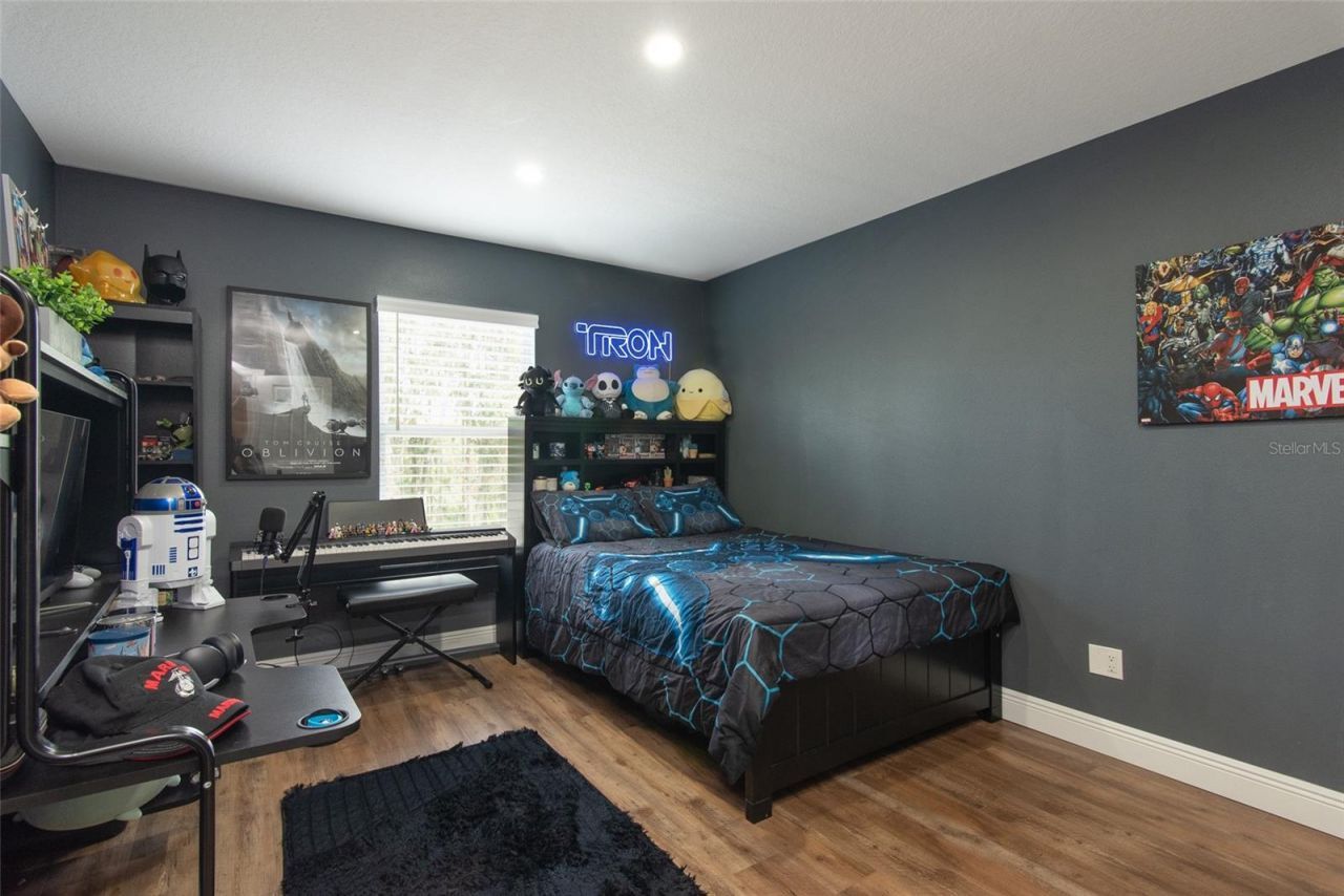 21511 Wilderness Lake Boulevard, Land O Lakes, FL 34637 Photo