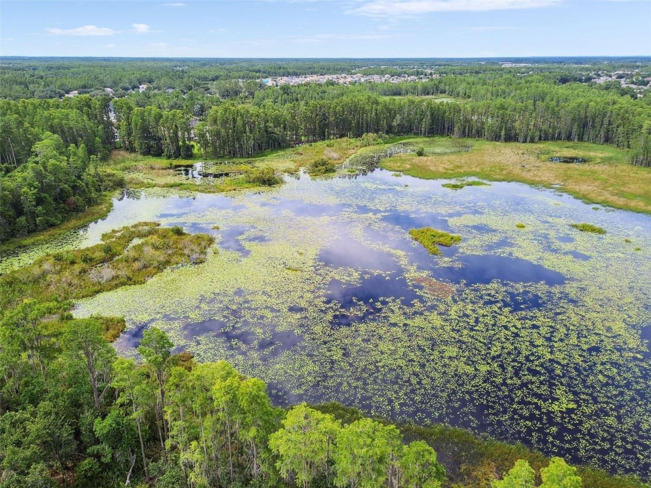 21511 Wilderness Lake Boulevard, Land O Lakes, FL 34637 Photo