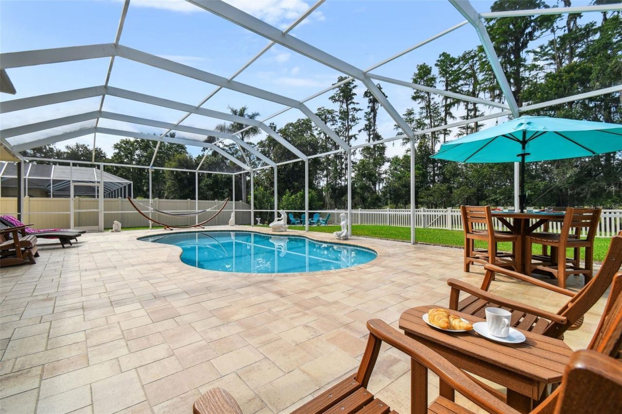 21511 Wilderness Lake Boulevard, Land O Lakes, FL 34637 Photo