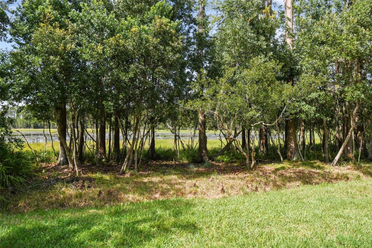 21511 Wilderness Lake Boulevard, Land O Lakes, FL 34637 Photo