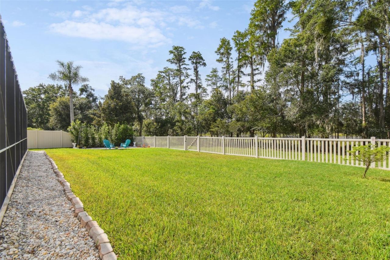 21511 Wilderness Lake Boulevard, Land O Lakes, FL 34637 Photo
