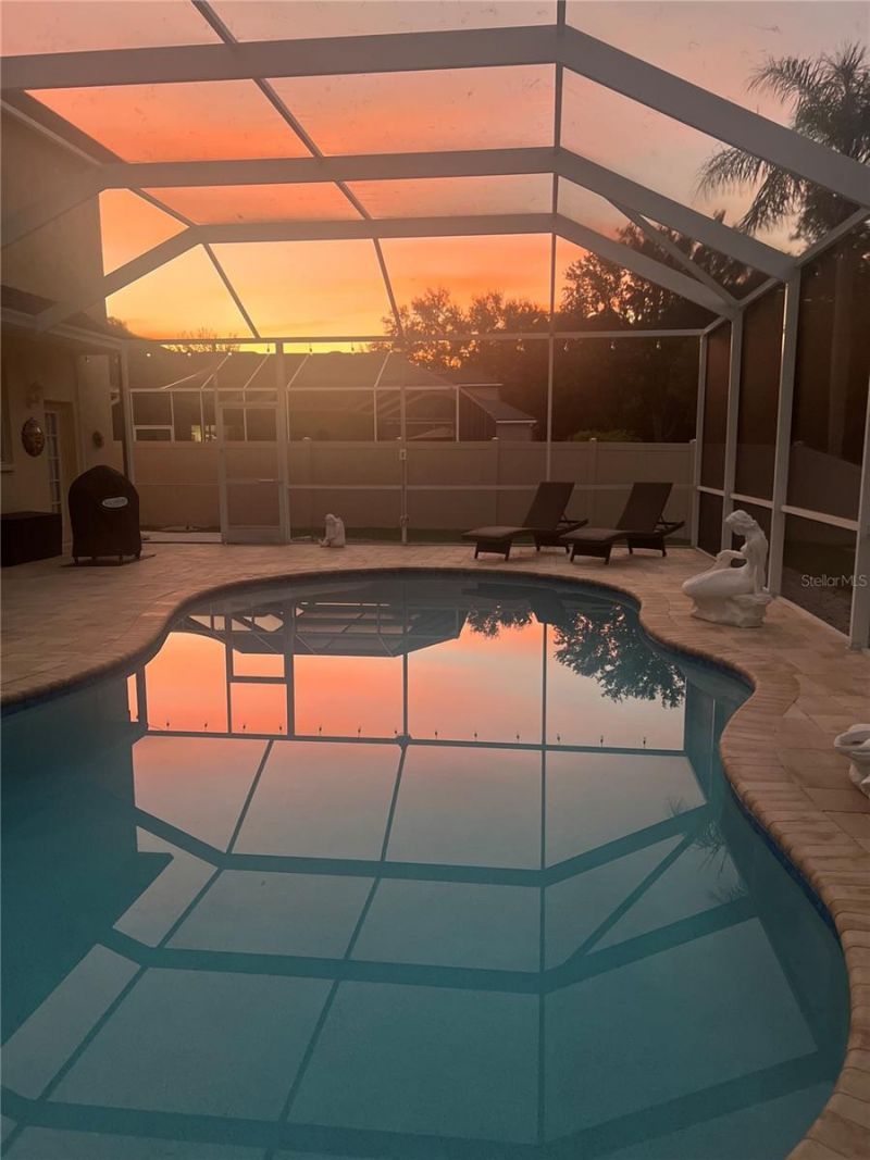 21511 Wilderness Lake Boulevard, Land O Lakes, FL 34637 Photo