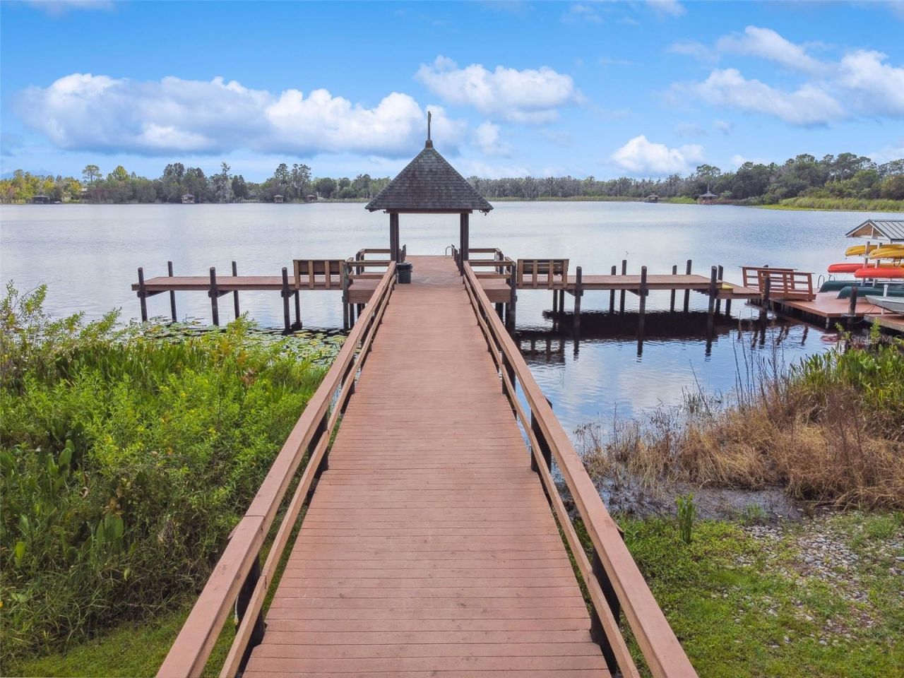 21511 Wilderness Lake Boulevard, Land O Lakes, FL 34637 Photo