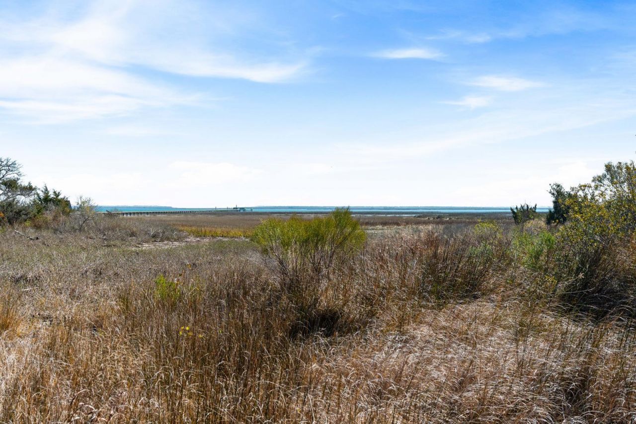 1637 Boston Grill Road Photo 13