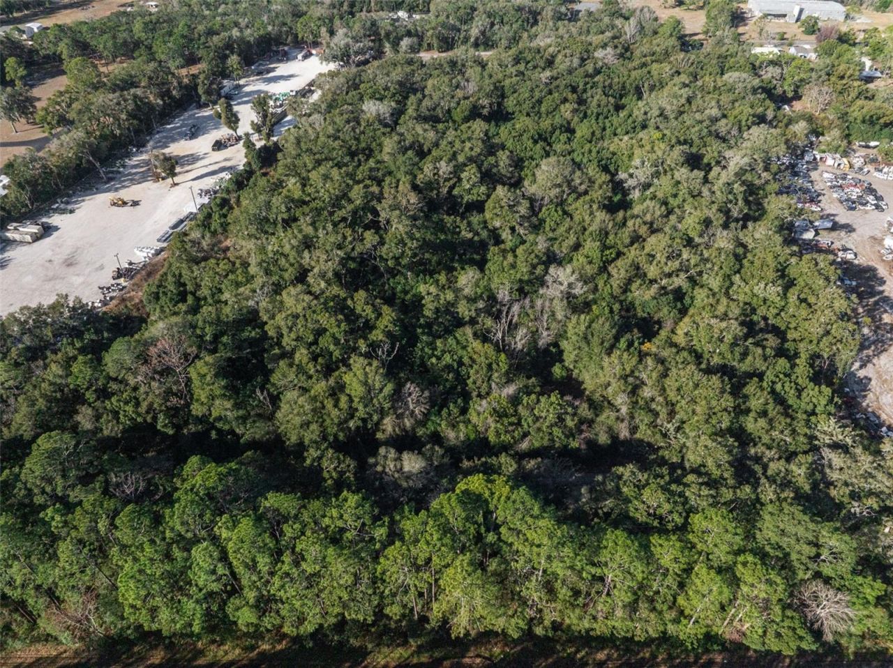 589 S Volusia Avenue, Pierson, FL 32180 Photo