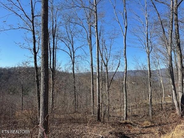 Dooley Hollow Rd, Ewing, VA 24248