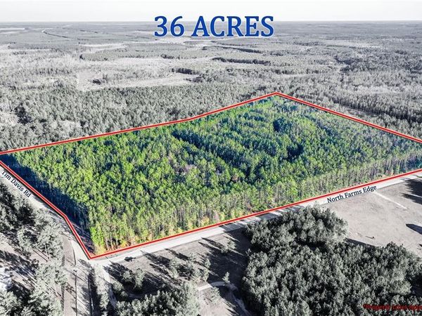 00 Farms Edge Road, Manor, GA 31552