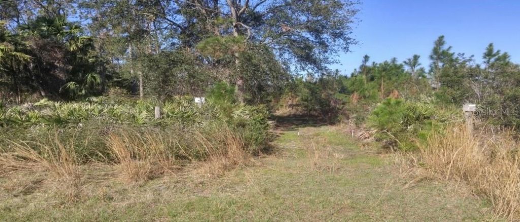 Us 1 North, Bunnell, FL 32110 Photo