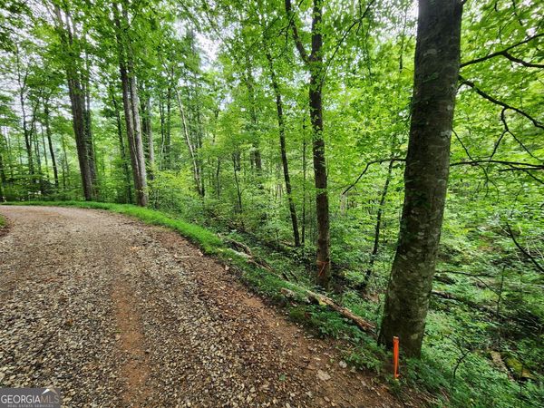 TRACT 2B Poplar Cove Trail, Suches, GA 30572