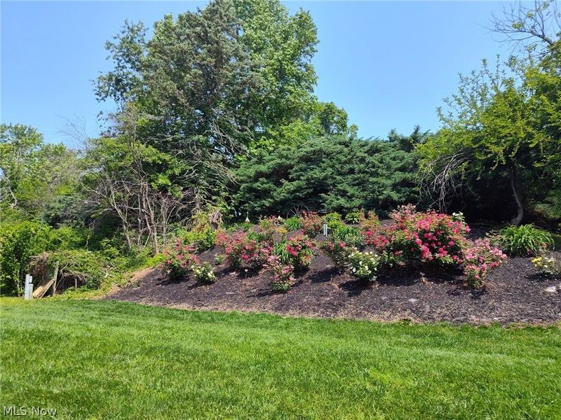 415 Springbrook Drive SW, New Philadelphia, OH 44663 Photo 17