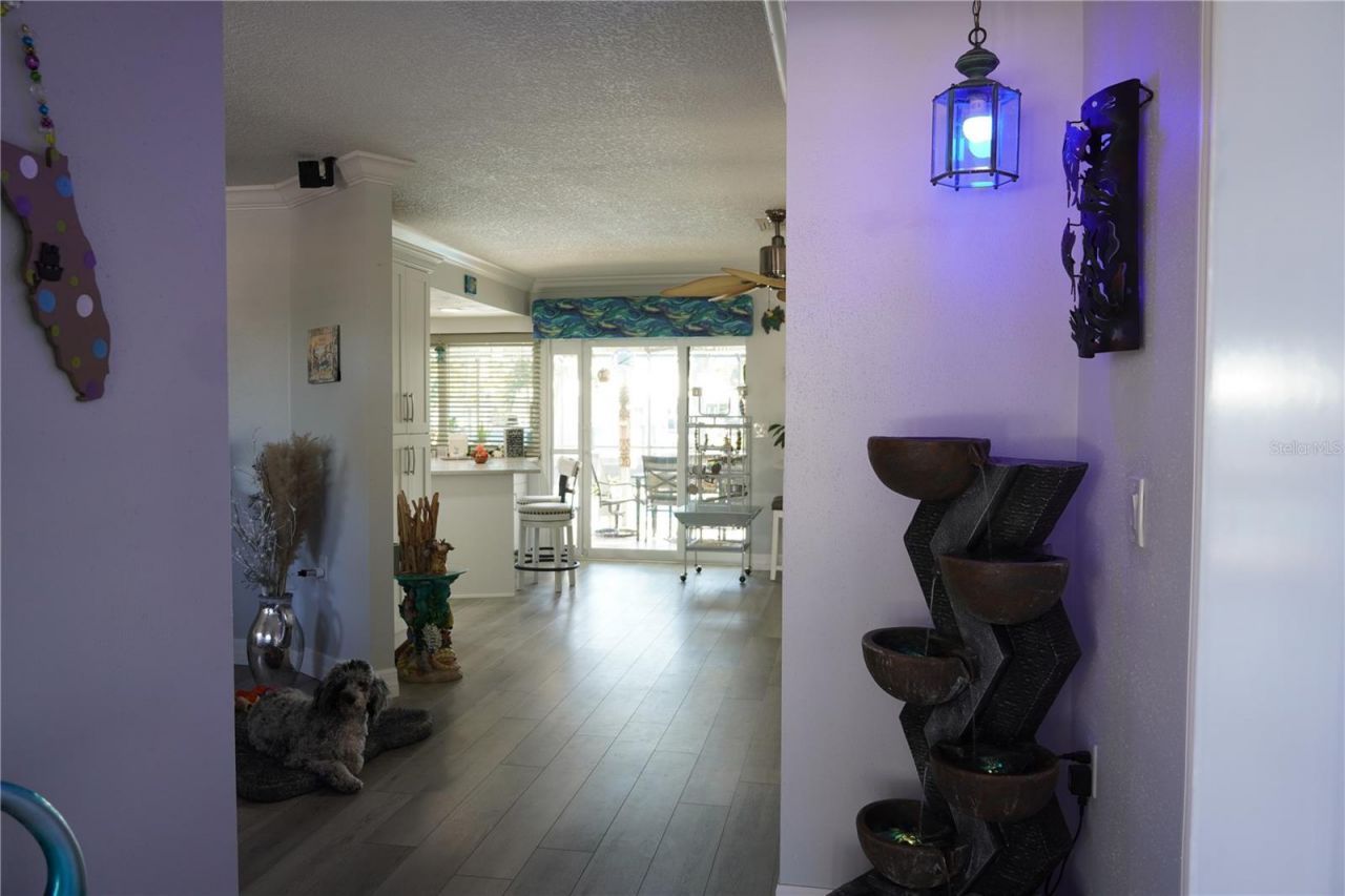 908 Sago Palm Way, Apollo Beach, FL 33572 Photo