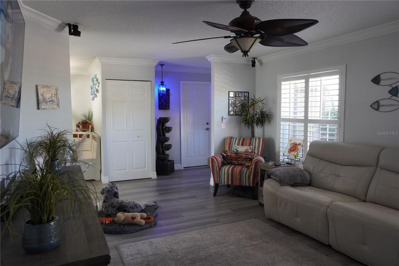 908 Sago Palm Way, Apollo Beach, FL 33572 Photo
