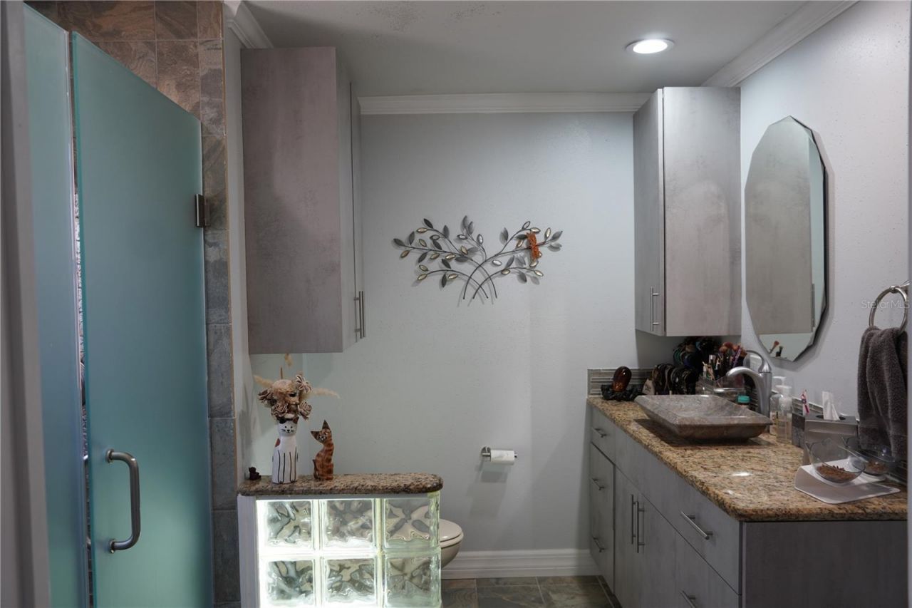 908 Sago Palm Way, Apollo Beach, FL 33572 Photo