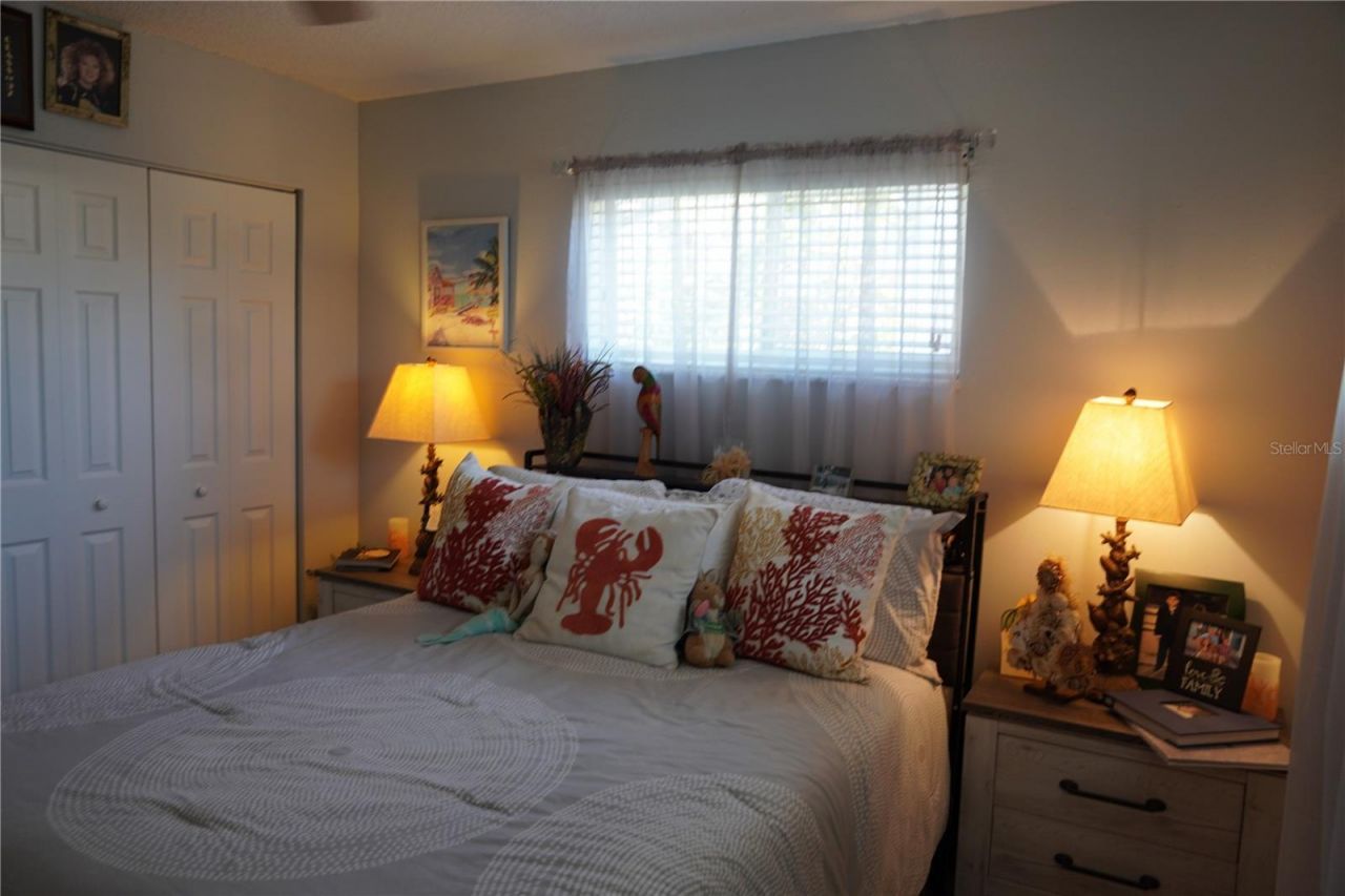 908 Sago Palm Way, Apollo Beach, FL 33572 Photo