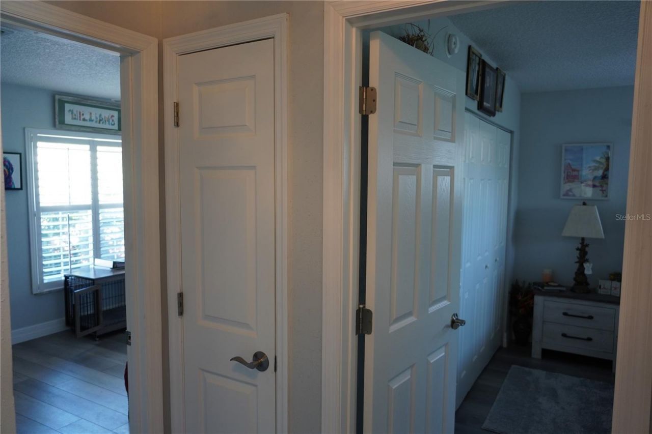 908 Sago Palm Way, Apollo Beach, FL 33572 Photo