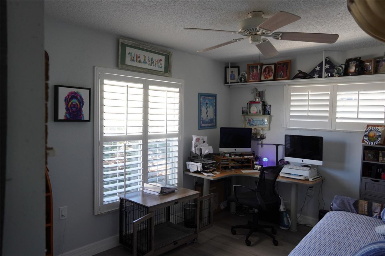 908 Sago Palm Way, Apollo Beach, FL 33572 Photo